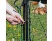 Vstupní branka k síti pro elektrický ohradník, výška 110 cm, šířka 125 cm, dvojitý hrot