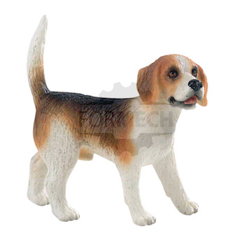 Beagle 