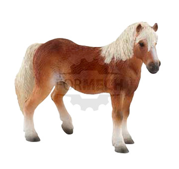 Haflinger kobyla 