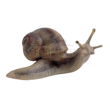 Hlemýžď 