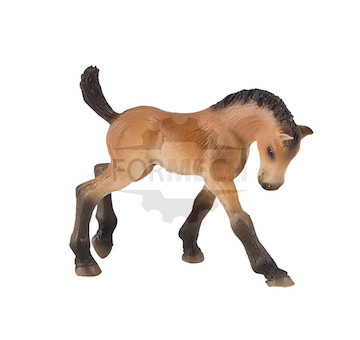 Trakehnerské hříbě 