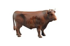 Býk hnědý 