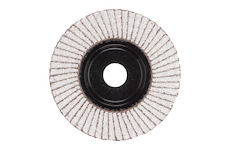 Flap discs Zirconium Flap disc Zirconium 125 mm / Grit 120