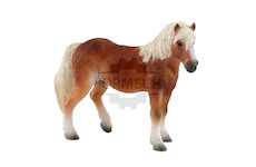 Haflinger kobyla 