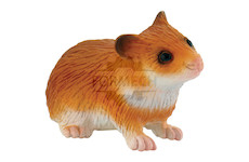 Hamster 